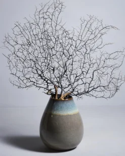 Madeira - Vase