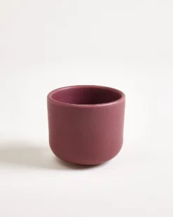 Sereno - Small cup mix Set of 4